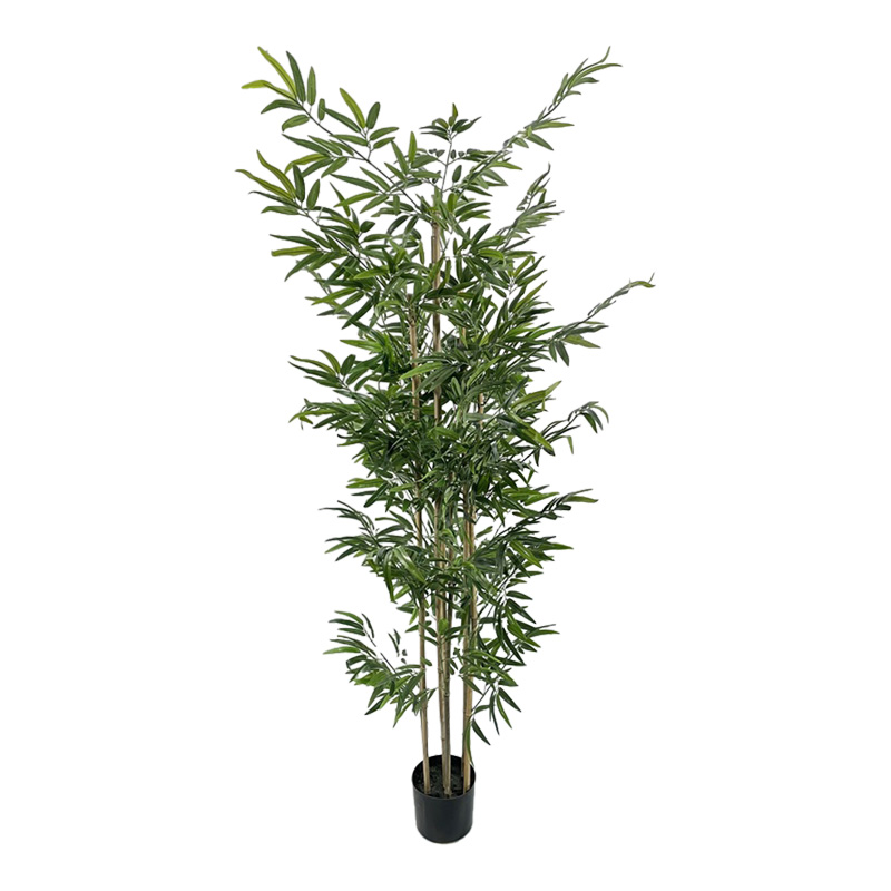 Διακοσμητικό φυτό Bamboo σε γλάστρα Inart πράσινο pp Υ190εκ Διακοσμητικό φυτό Bamboo σε γλάστρα Inart πράσινο pp Υ190εκ - Image 1