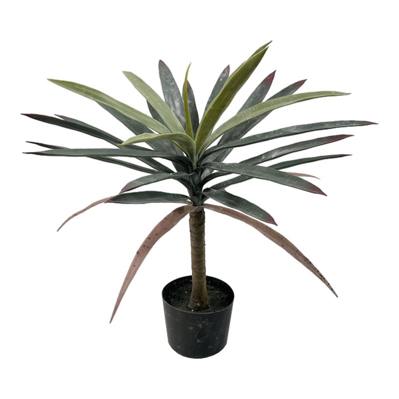 Διακοσμητικό φυτό Dracaena palm σε γλάστρα Inart πράσινο pp Υ62εκ Διακοσμητικό φυτό Dracaena palm σε γλάστρα Inart πράσινο pp Υ62εκ - Image 1