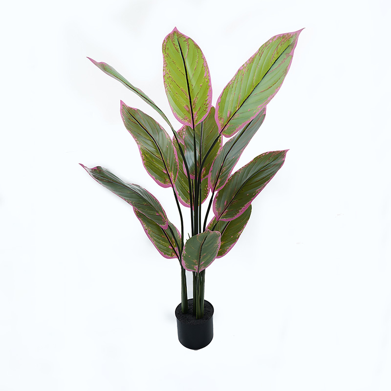Διακοσμητικό φυτό σε γλάστρα Calathea Inart πράσινο Φ68x120εκ Διακοσμητικό φυτό σε γλάστρα Calathea Inart πράσινο Φ68x120εκ - Image 1